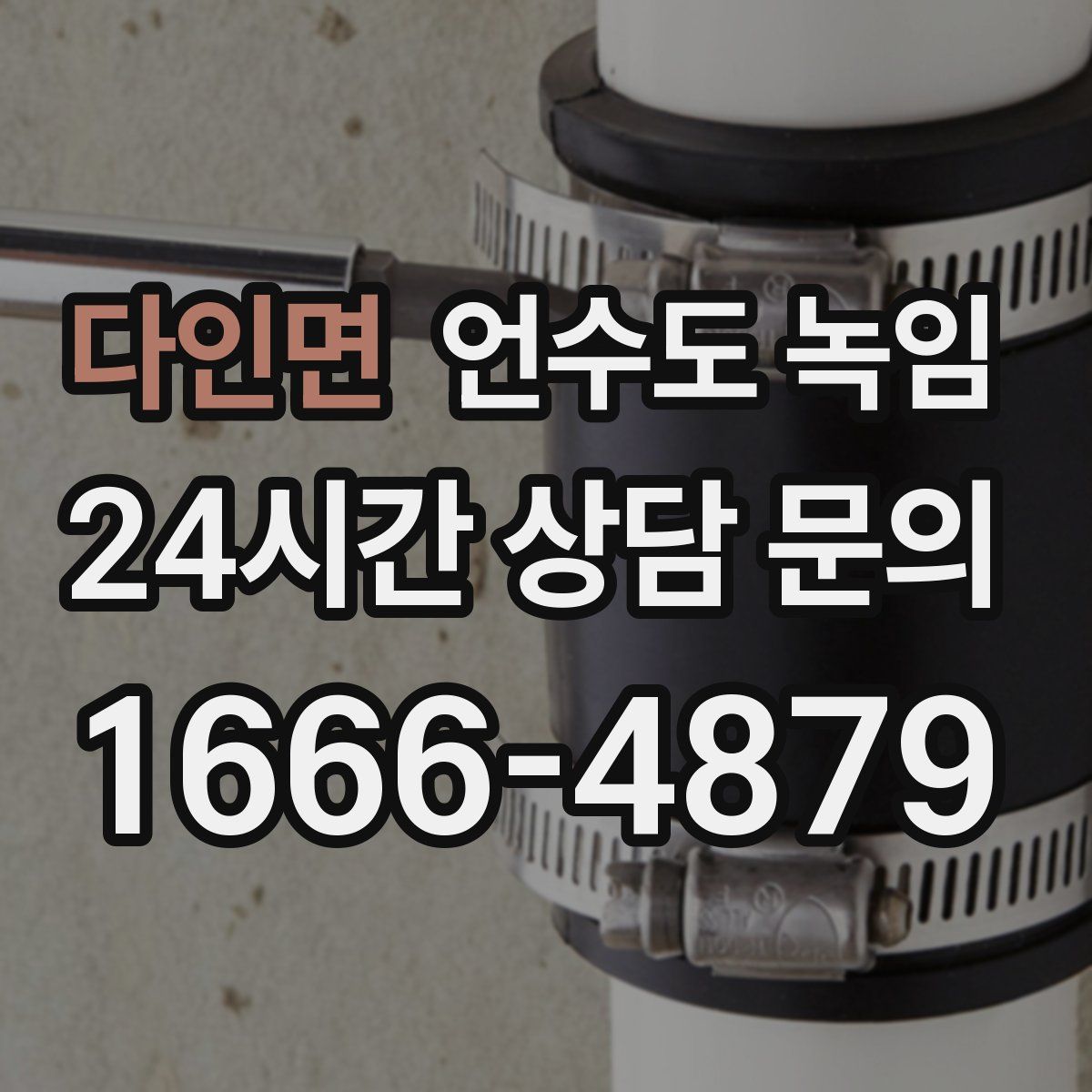 다인면 언수도 녹임