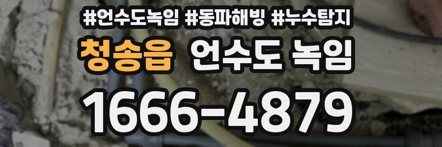 청송읍 언수도 녹임