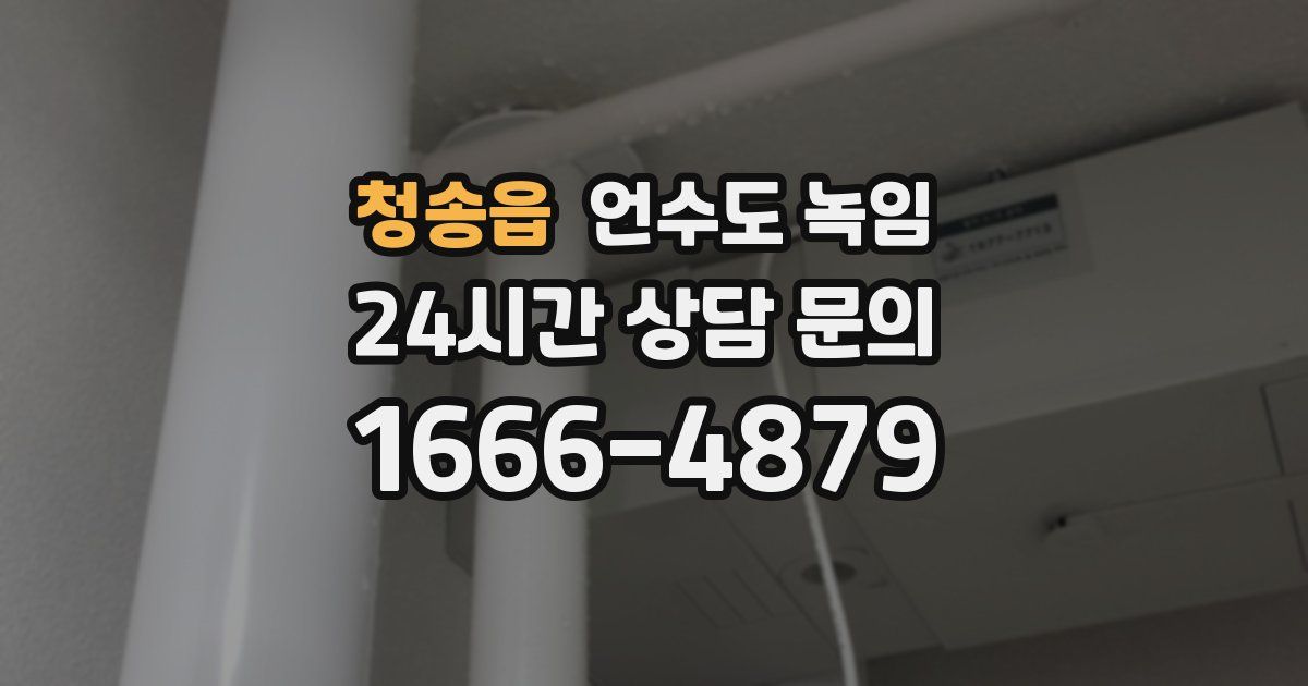 청송읍 언수도 녹임