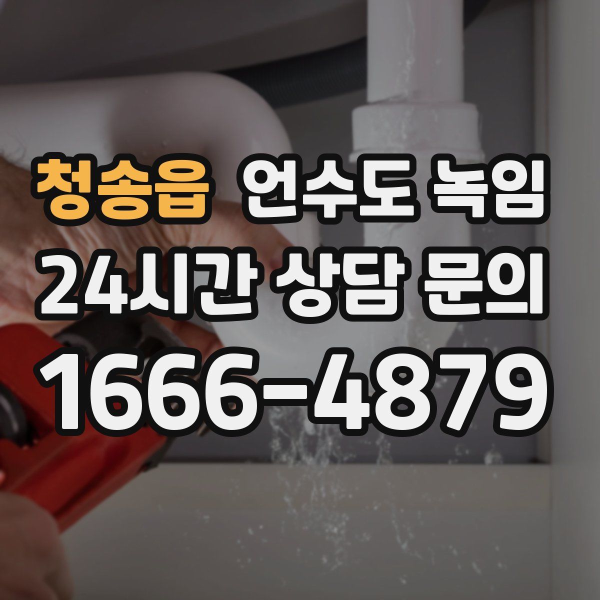 청송읍 언수도 녹임