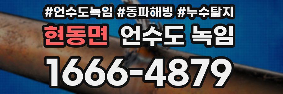 현동면 언수도 녹임