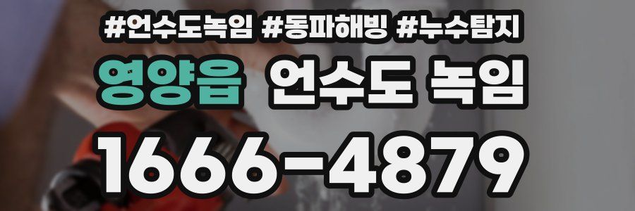 영양읍 언수도 녹임