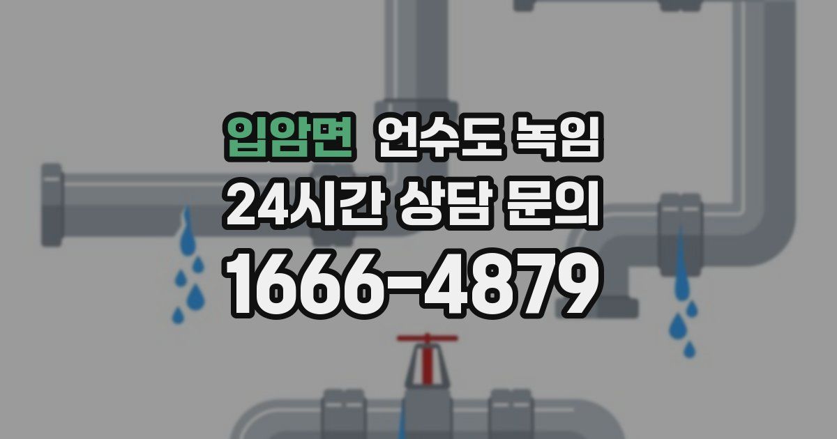 입암면 언수도 녹임