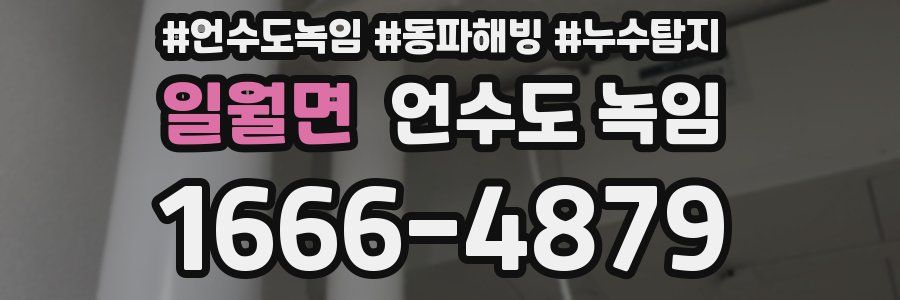 일월면 언수도 녹임