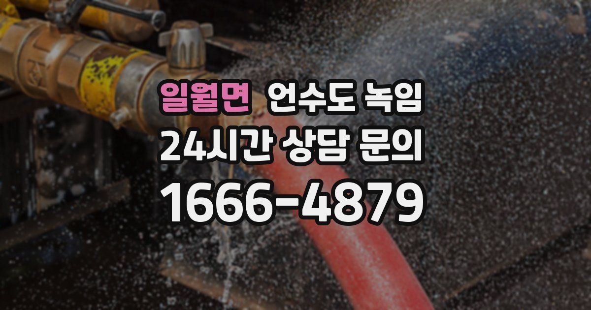 일월면 언수도 녹임