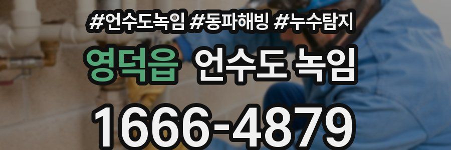 영덕읍 언수도 녹임