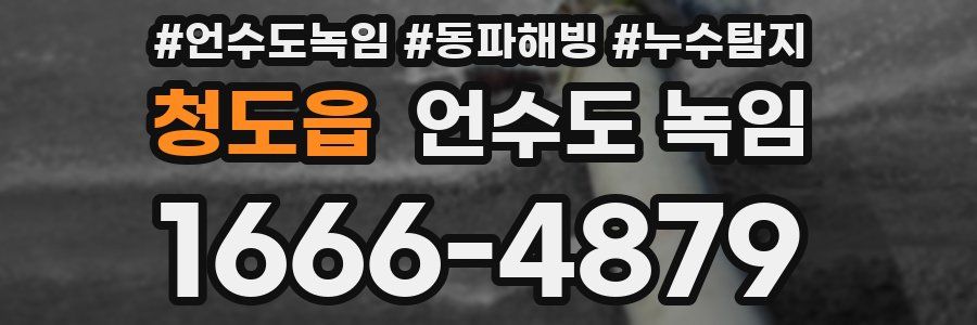 청도읍 언수도 녹임