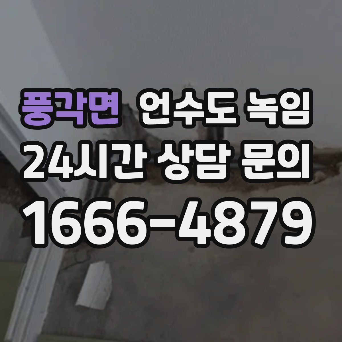 풍각면 언수도 녹임