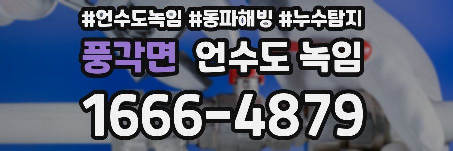 풍각면 언수도 녹임