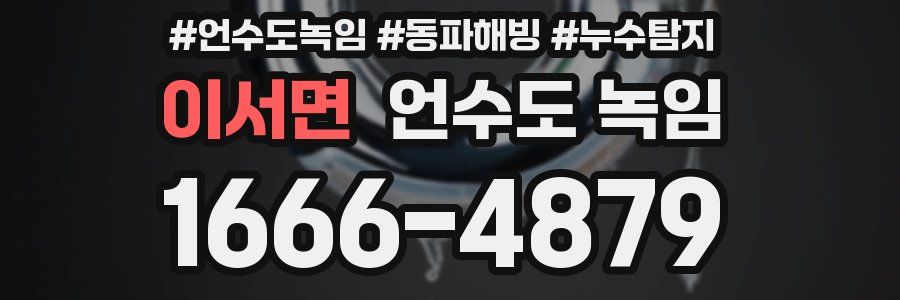 이서면 언수도 녹임