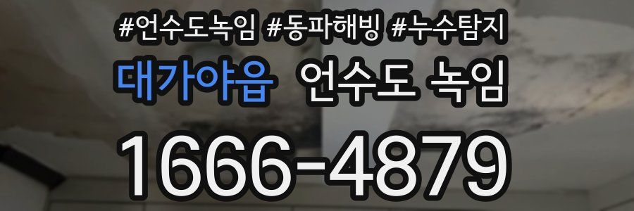 대가야읍 언수도 녹임