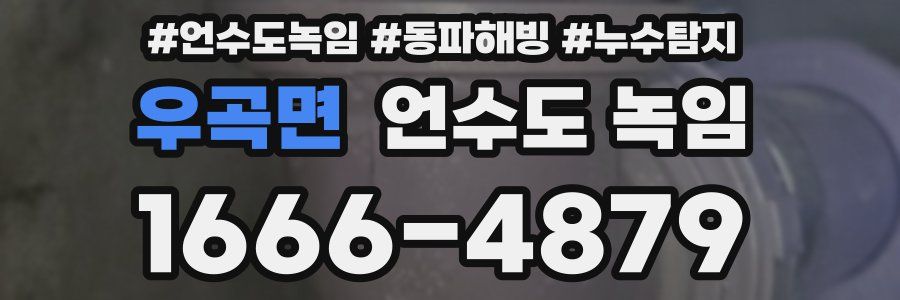 우곡면 언수도 녹임