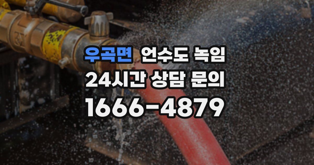 우곡면 언수도 녹임