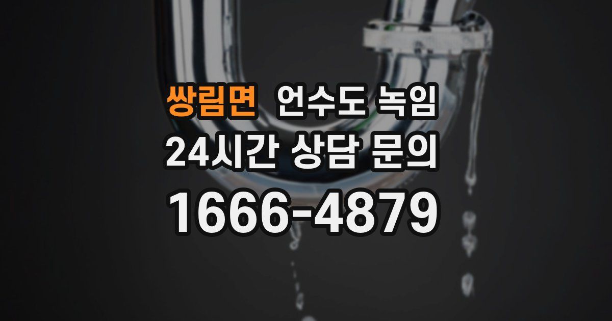 쌍림면 언수도 녹임