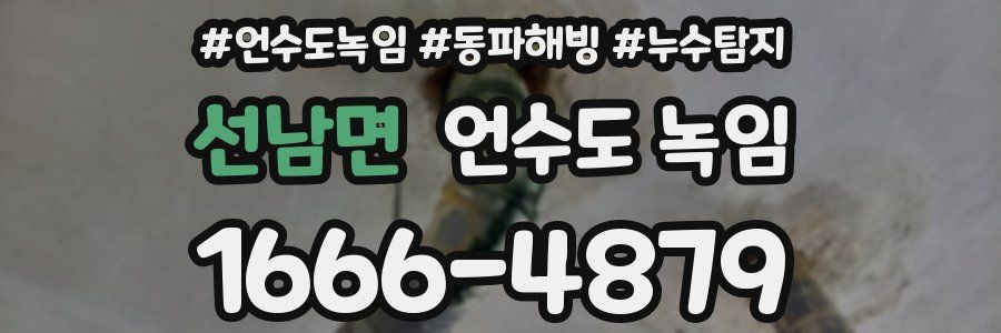 선남면 언수도 녹임