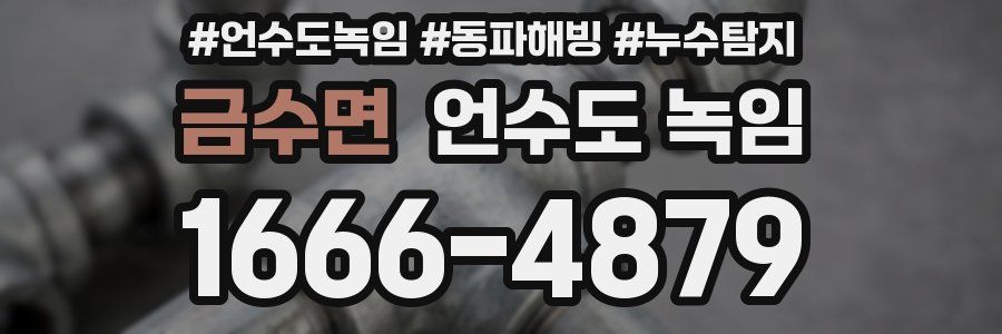 금수면 언수도 녹임