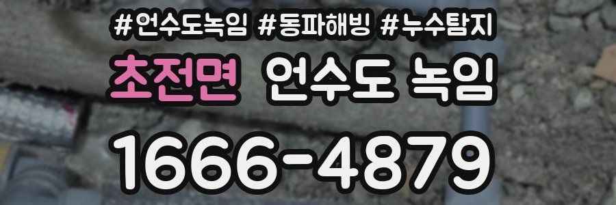 초전면 언수도 녹임