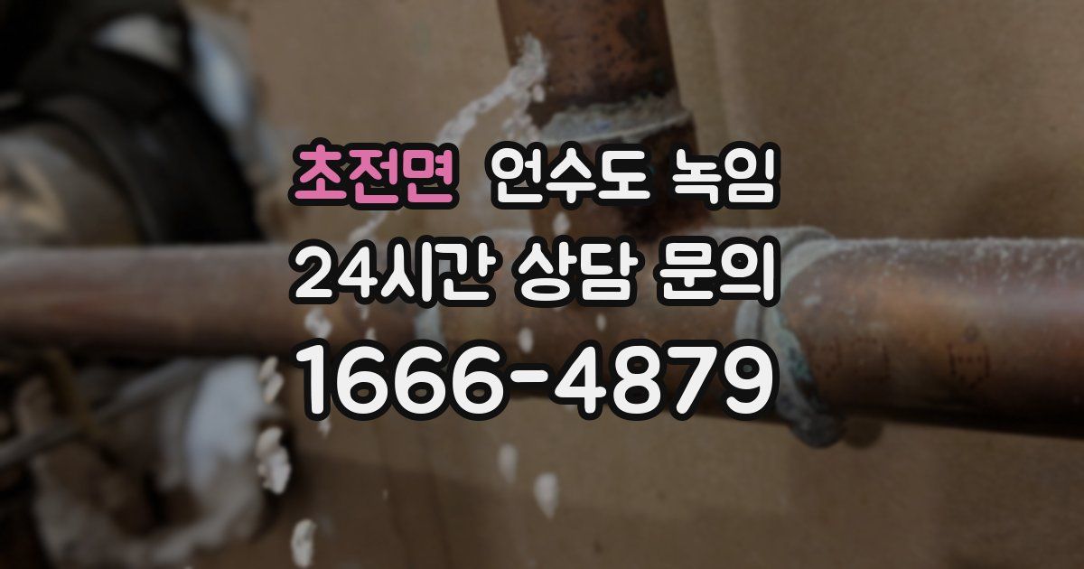 초전면 언수도 녹임