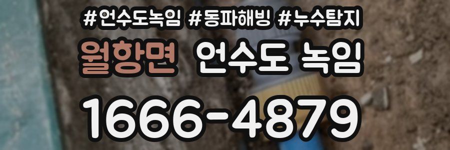 월항면 언수도 녹임