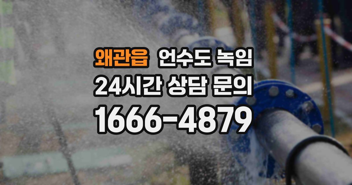 왜관읍 언수도 녹임