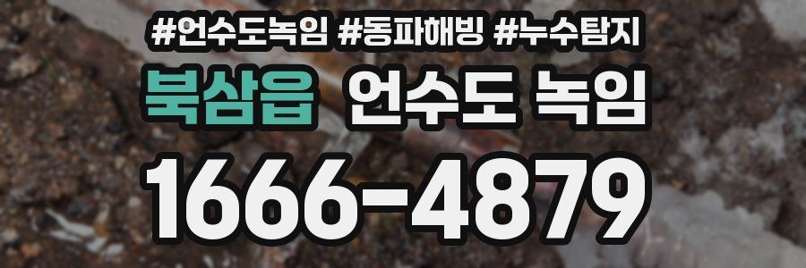 북삼읍 언수도 녹임