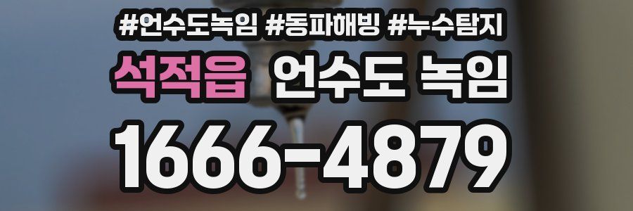 석적읍 언수도 녹임