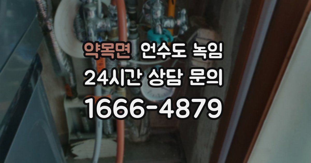 약목면 언수도 녹임