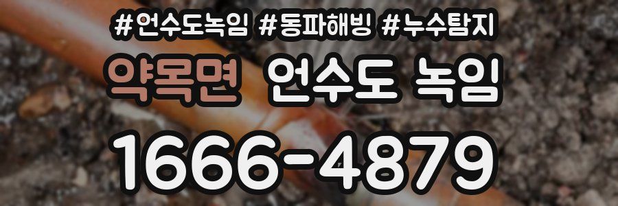 약목면 언수도 녹임