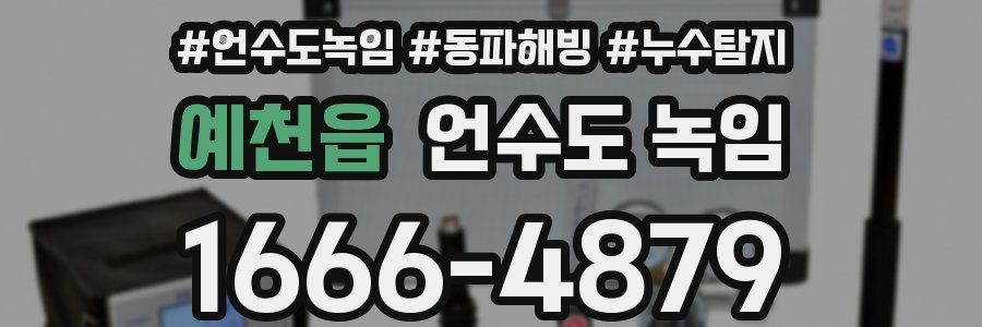 예천읍 언수도 녹임