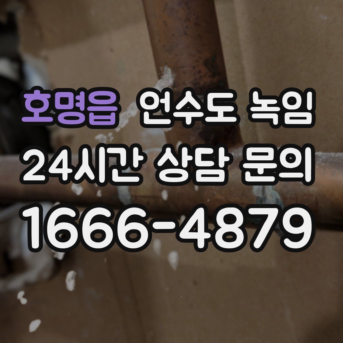 호명읍 언수도 녹임