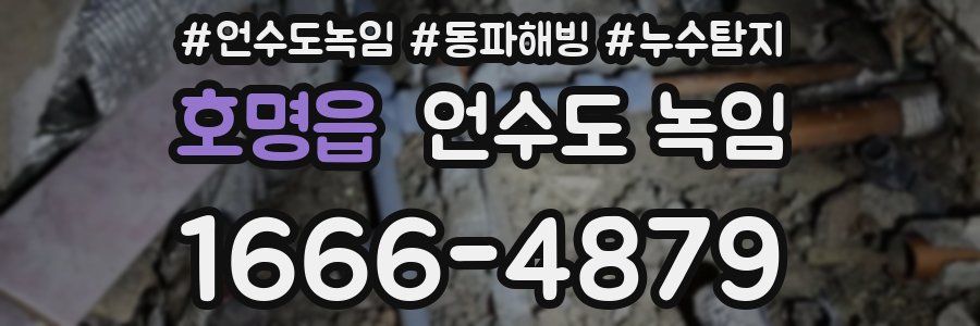 호명읍 언수도 녹임