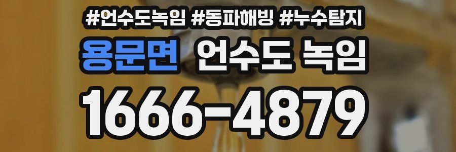 용문면 언수도 녹임