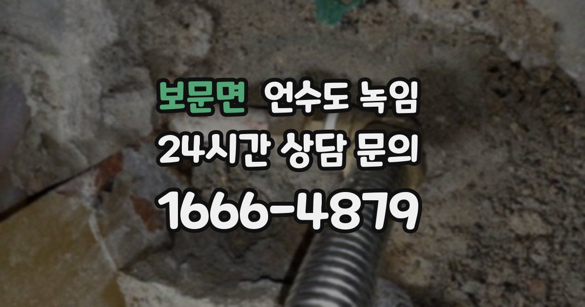 보문면 언수도 녹임