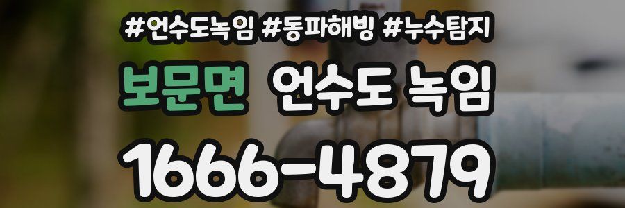 보문면 언수도 녹임