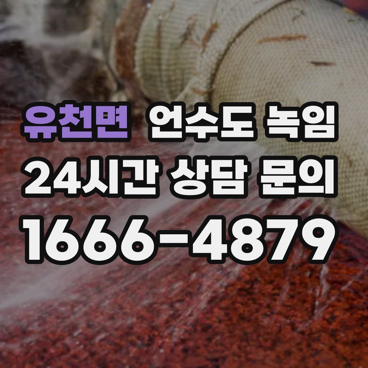 유천면 언수도 녹임