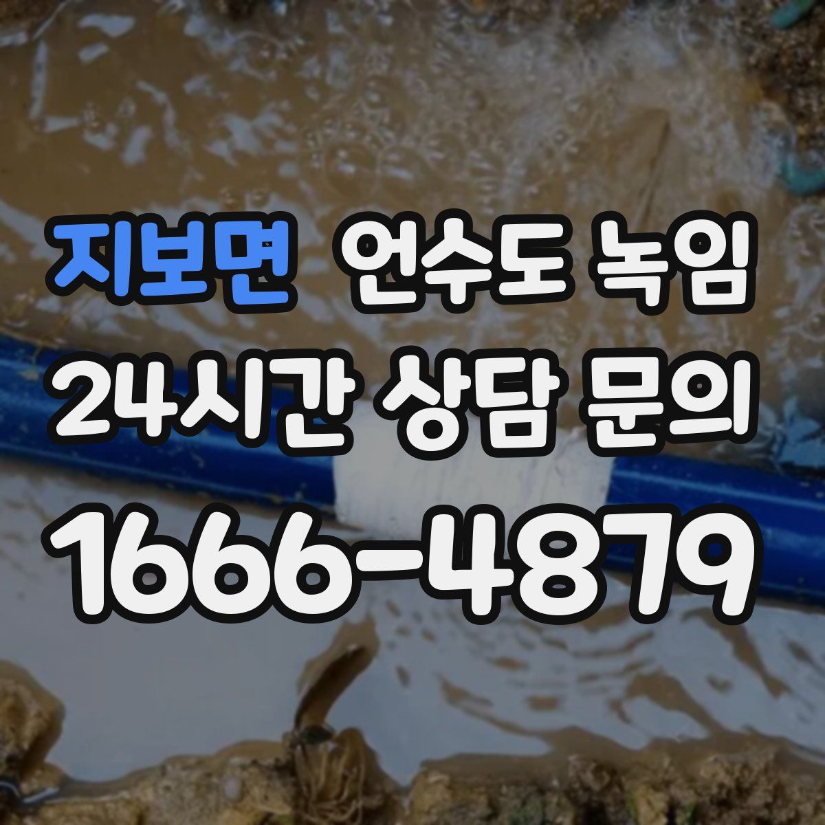 지보면 언수도 녹임