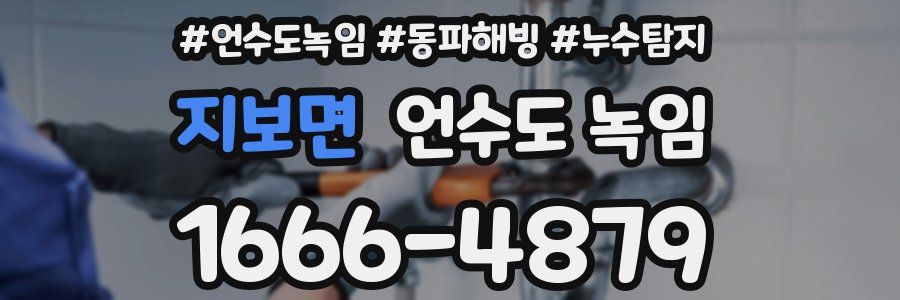 지보면 언수도 녹임