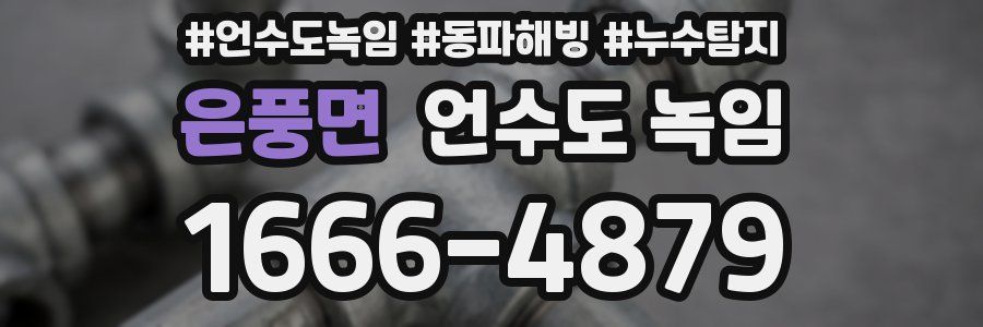 은풍면 언수도 녹임