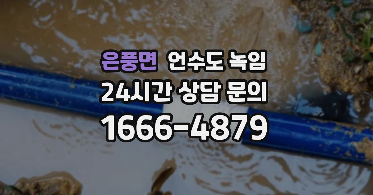 은풍면 언수도 녹임