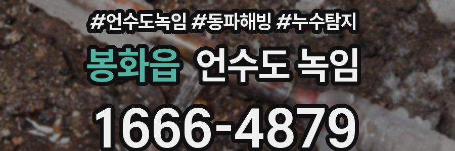 봉화읍 언수도 녹임