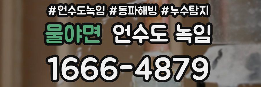 물야면 언수도 녹임