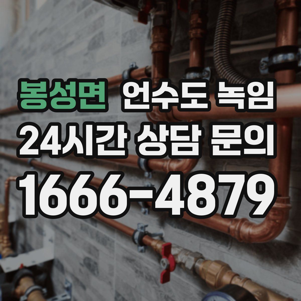 봉성면 언수도 녹임