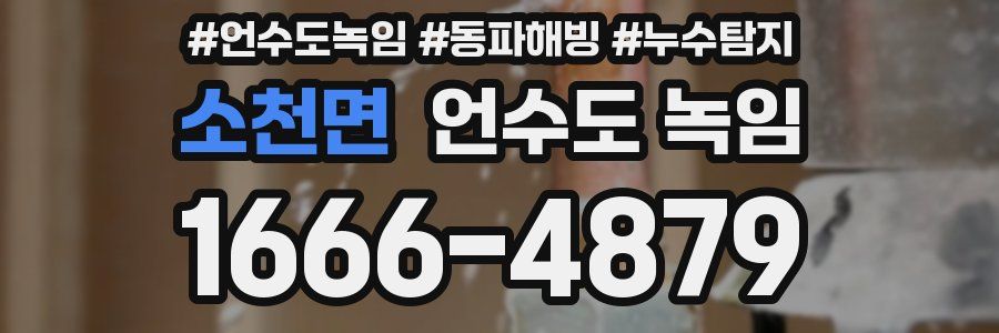 소천면 언수도 녹임