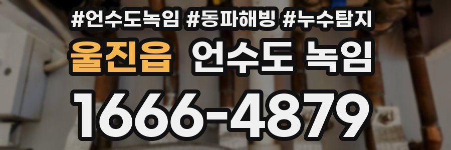 울진읍 언수도 녹임