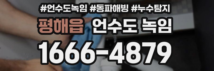 평해읍 언수도 녹임