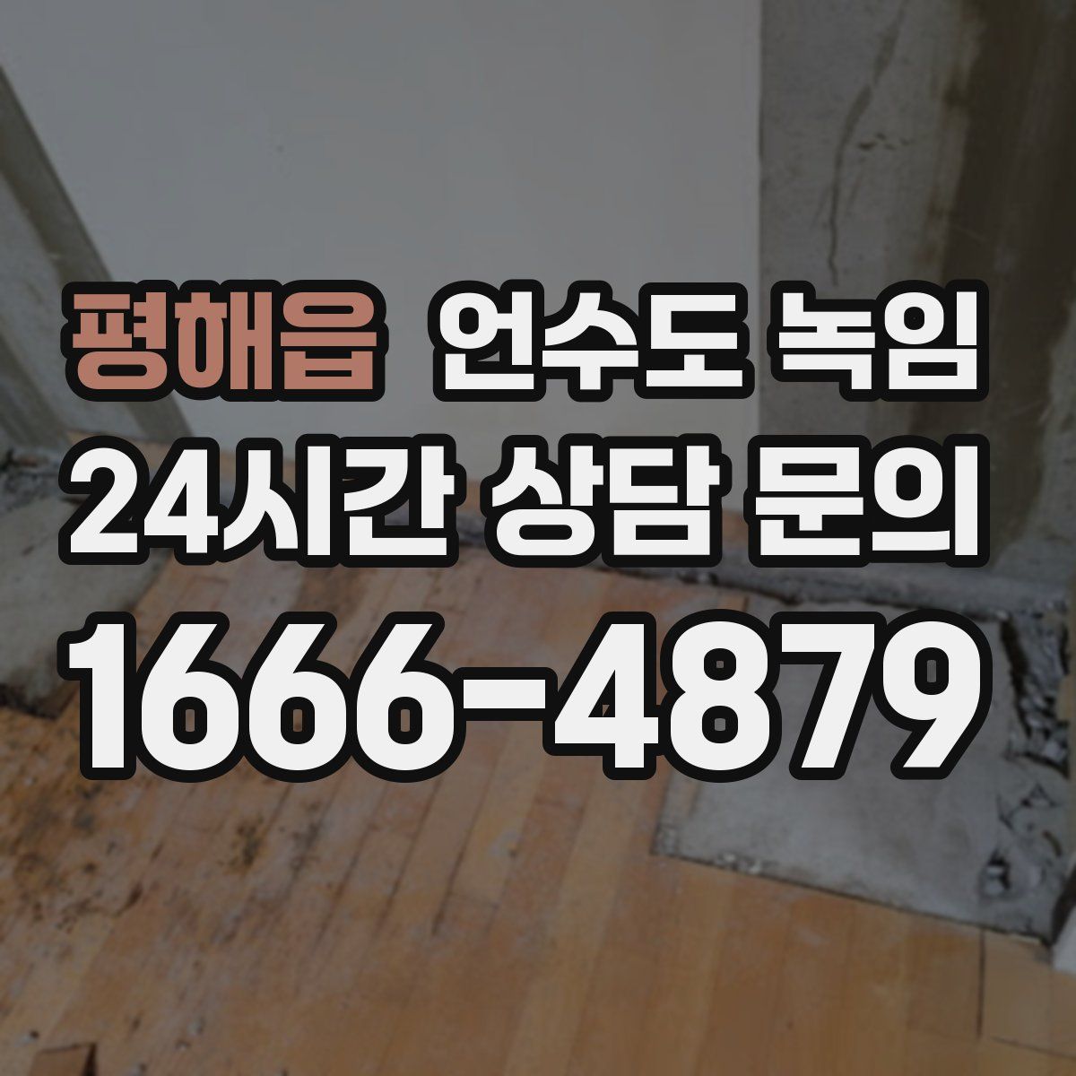 평해읍 언수도 녹임