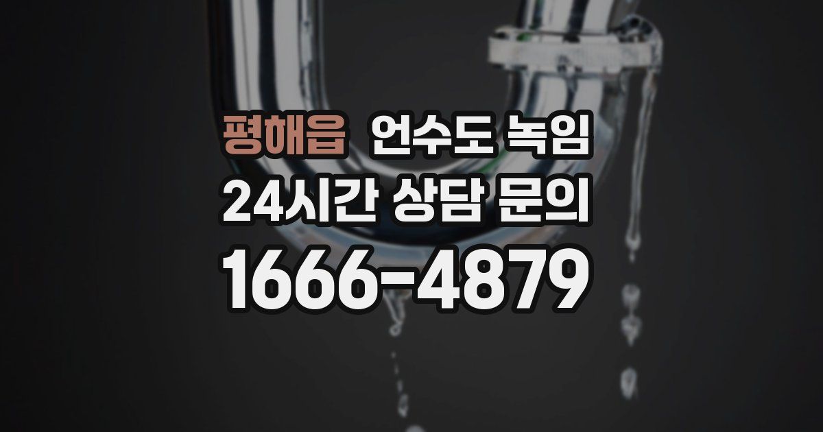 평해읍 언수도 녹임