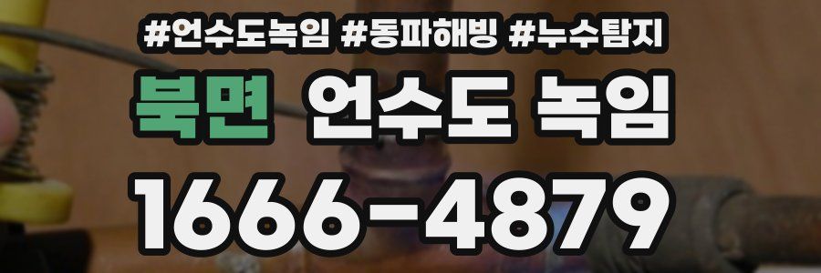 북면 언수도 녹임