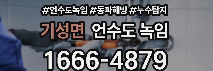 기성면 언수도 녹임