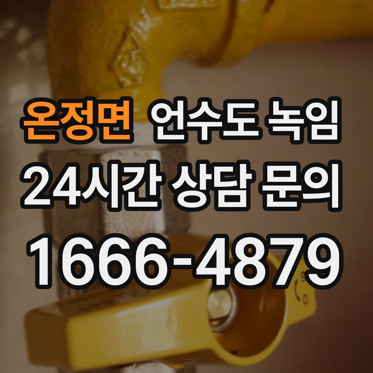 온정면 언수도 녹임